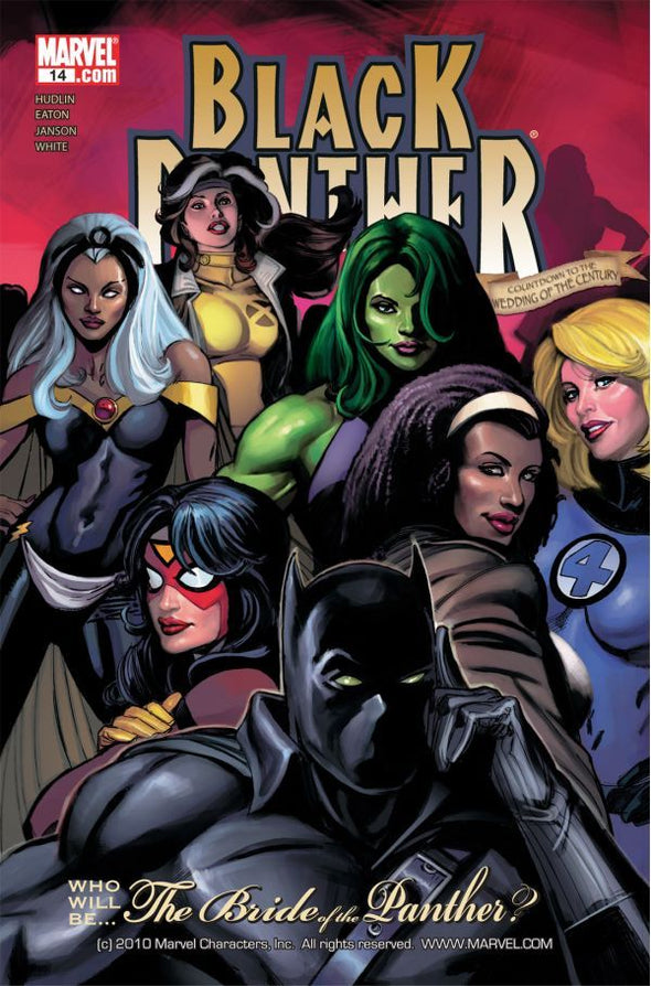 Black Panther (2005) #14