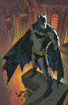 Batman's Grave (2019) #12 (of 12) (Kevin Nowlan Variant)