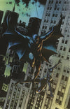 Batman Catwoman (2020) #01 (of 12) (Travis Charest Variant)