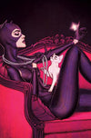Catwoman (2018) #40 (Jenny Frison Variant)