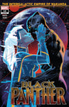 Black Panther (2018) #14