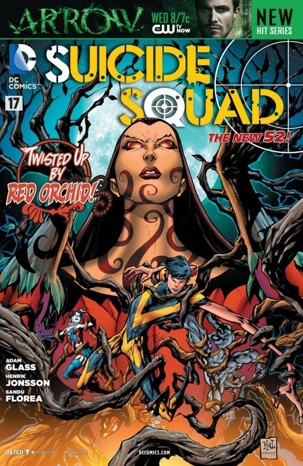 Suicide Squad (2011) #17