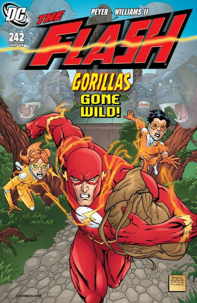 Flash (1987) #242