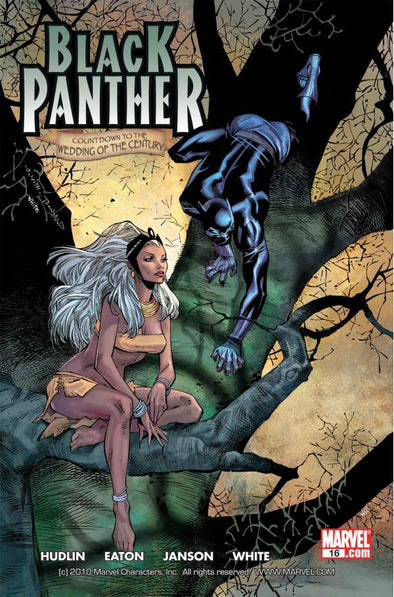 Black Panther (2005) #16