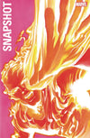 Fantastic Four Marvels Snapshot (2020) #01