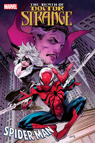 Death of Doctor Strange Spider-Man (2021) #01