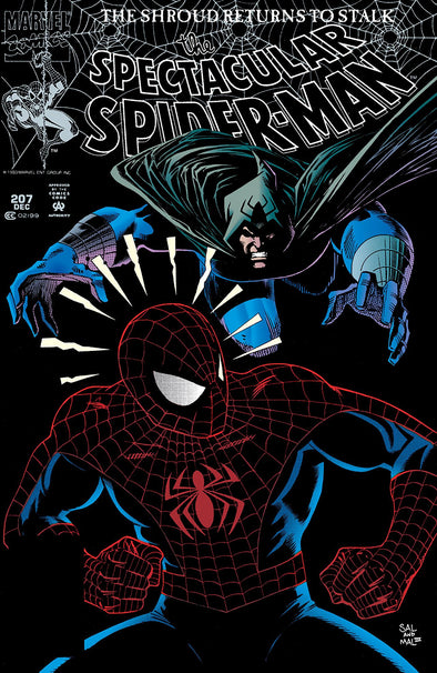 Peter Parker Spectacular Spider-Man (1976) #207